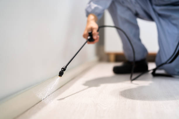 Licensed Termite Control service in Exeter, CA - Nex Pest Control