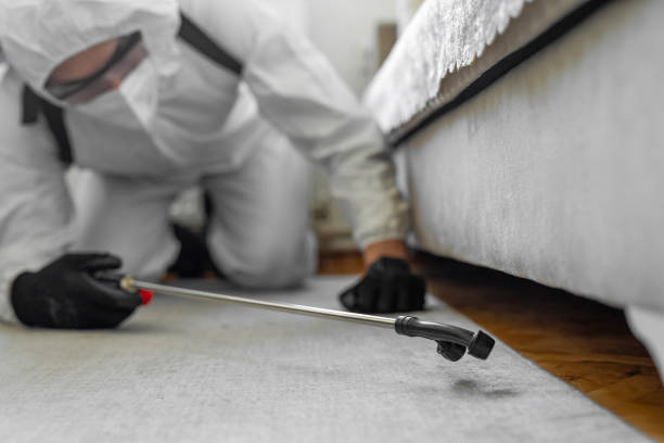 Professional Termite Control technician working in Exeter, CA