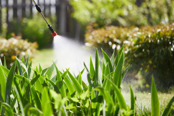 24/7 Emergency Termite Control experts in Exeter, CA