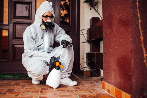 Reliable Termite Control contractor in Exeter, CA by Nex Pest Control