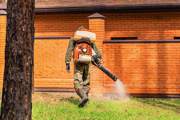 Top rated local Termite Control specialists in Exeter, CA